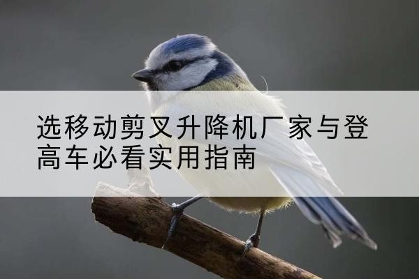 威海电动升降机厂家-选移动剪叉升降机厂家与登高车必看实用指南