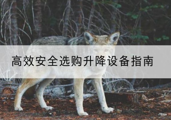 威海升降货梯厂家推荐-*安全选购升降设备指南